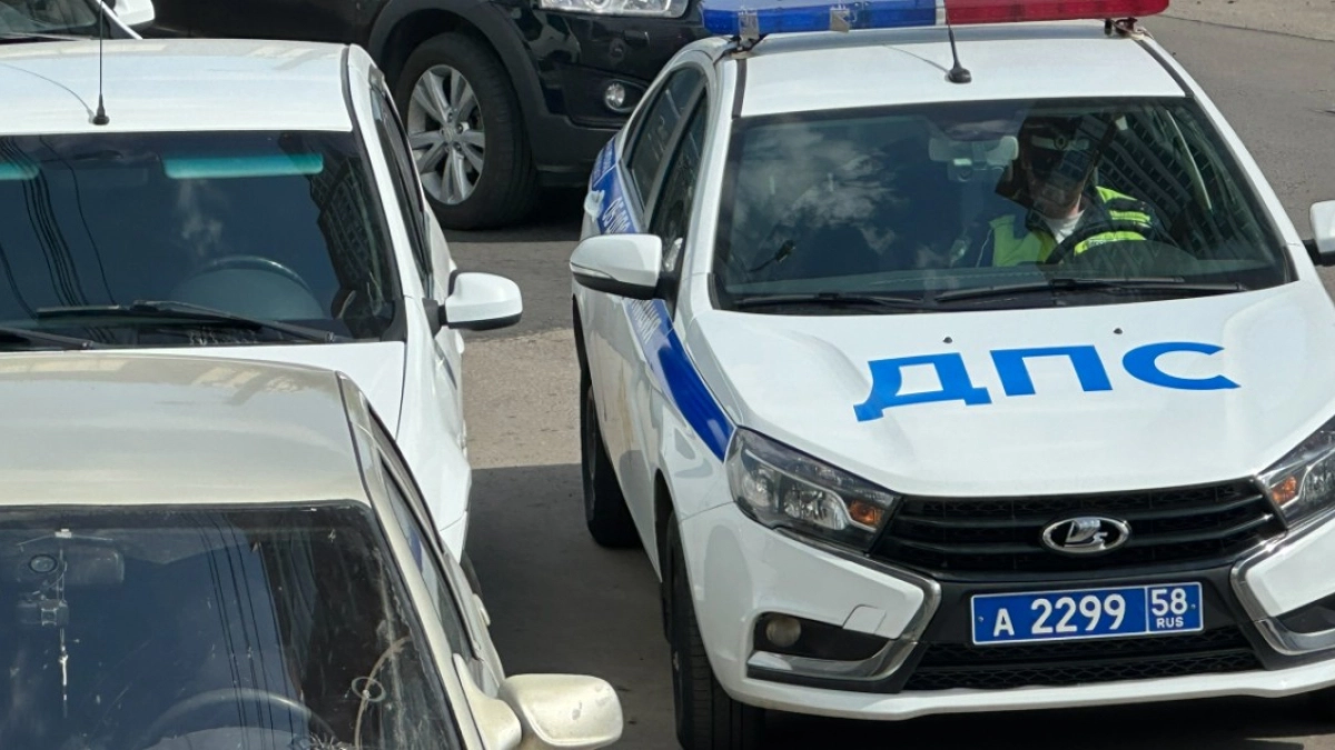 В Кетовском округе автоинспекторы задержали водителя за пьяную езду