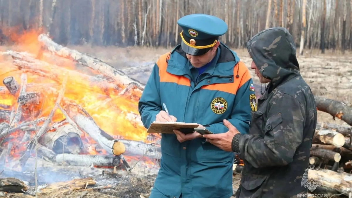 В МЧС напомнили курганцам о внушительных штрафах за поджоги травы
