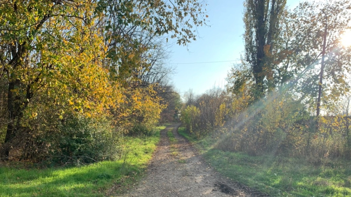 В Курганской области до 11 мая запрещено посещать леса