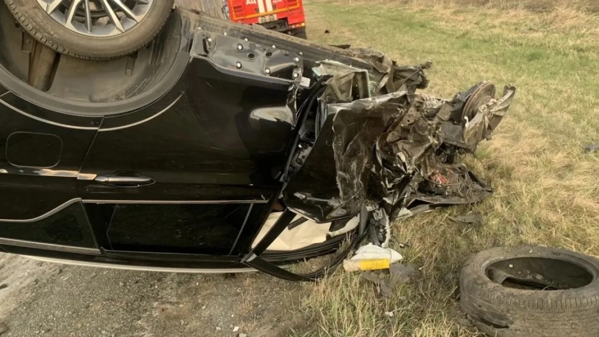 В Щучанском округе столкновение автомобиля с косулей привело к гибели мужчины