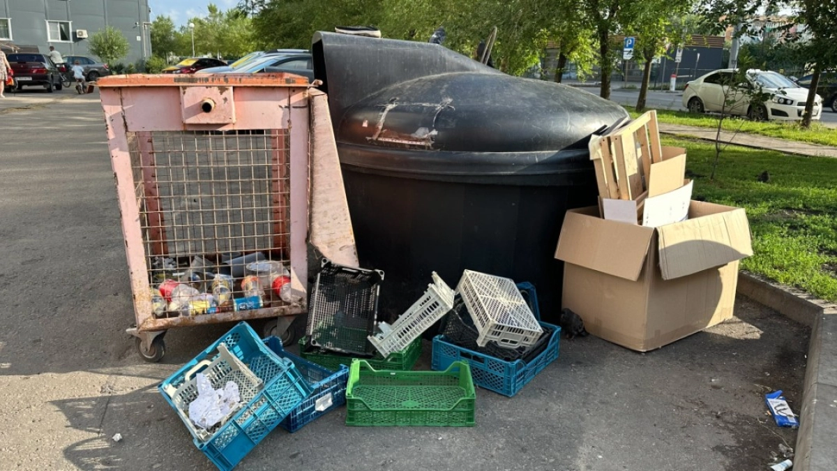 Курганцев просят фотографировать нарушителей, выбрасывающих мусор в неположенных местах