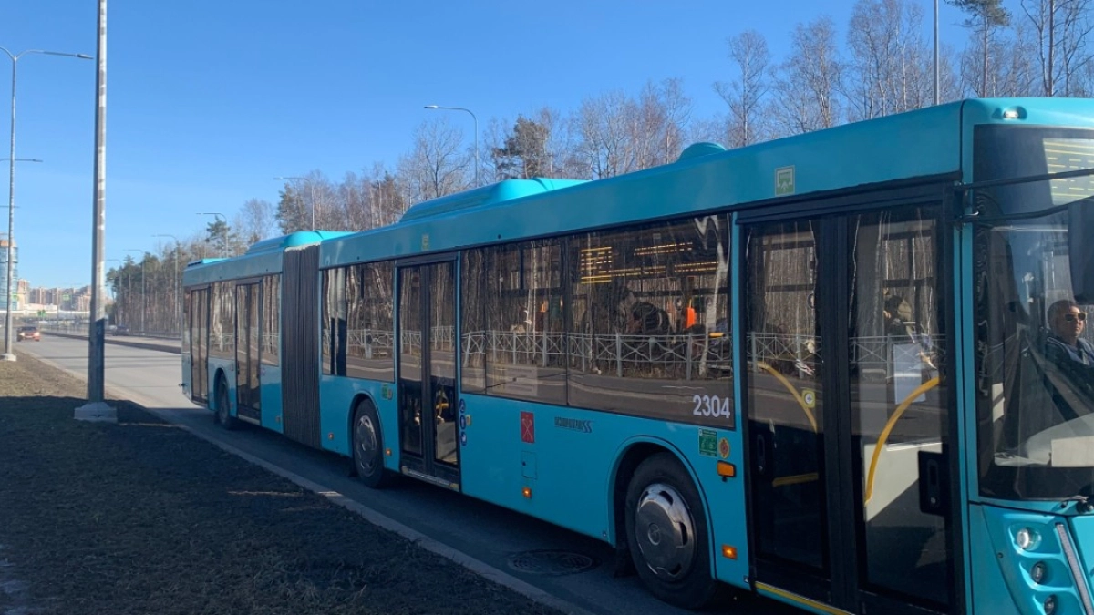 В Кургане проводится проверка после сообщений о ДТП с участием двух автобусов