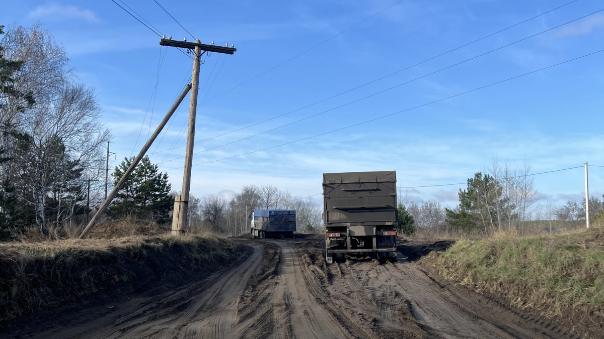 "Колдобина на колдобине": курганцы возмутились состоянием дороги в селе Утятское