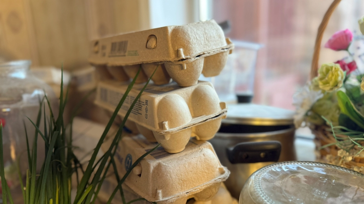 Огурцы и яйца подешевели в Курганской области