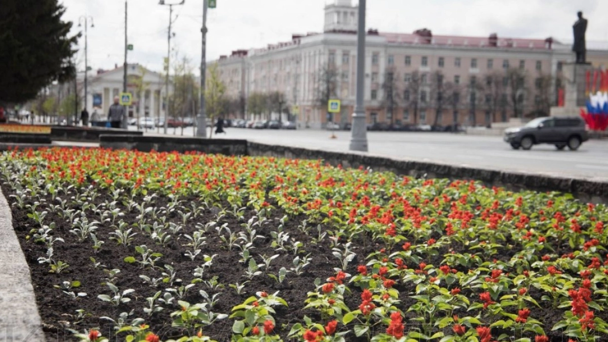 В Кургане более 24 тысяч цветов будет высажено в Городском саду