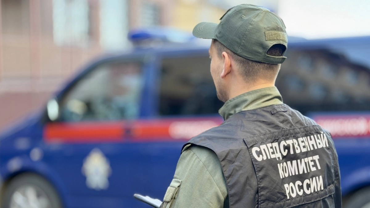 Жительница Курганской области предстанет перед судом за участие в деятельности запрещенной организации