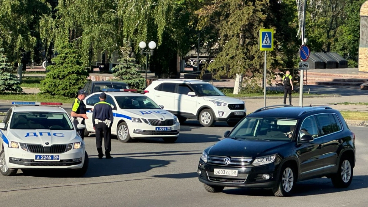 В Лебяжьевском округе полицейские задержали буйного водителя с помощью оружия