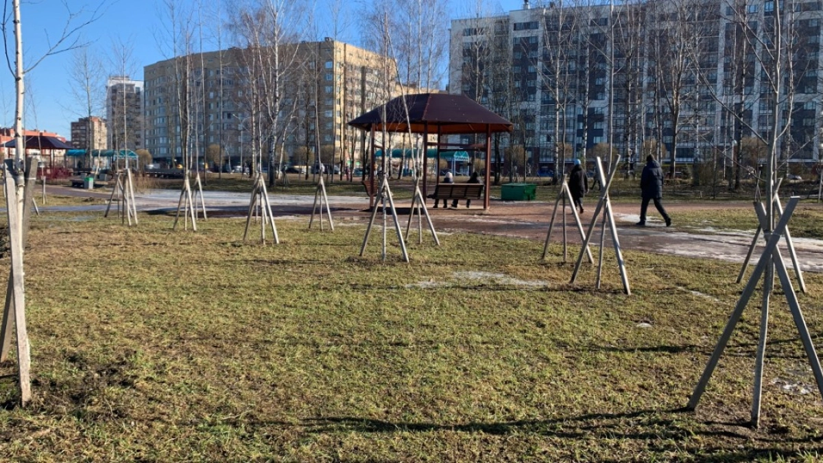Курганцев приглашают принять участие в акции «Сад Памяти»