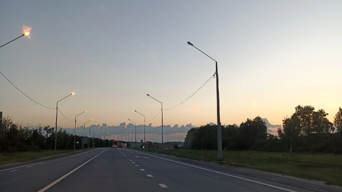 Власти Курганской области планируют отгородить дороги от диких животных сеткой, но есть загвоздка