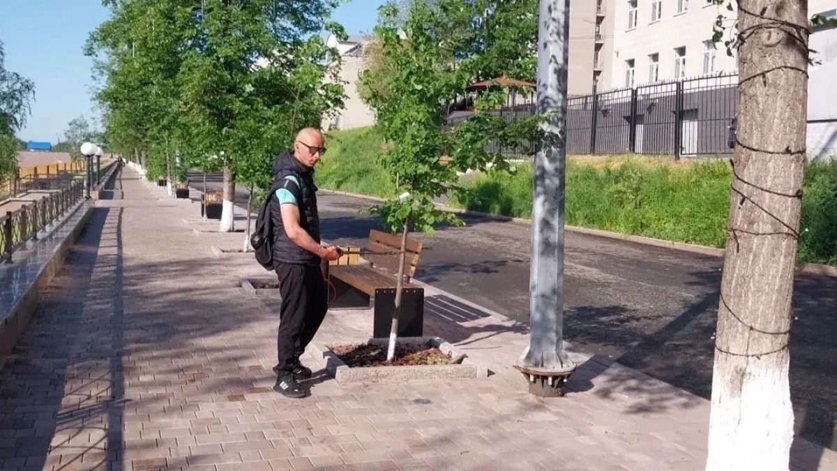 В Кургане специалисты обработали деревья на набережной от вредителей