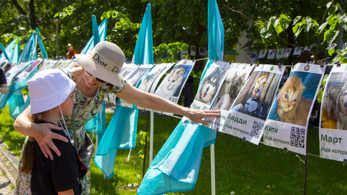 В Кургане партия «Новые люди» предложила сделать День защиты детей выходным