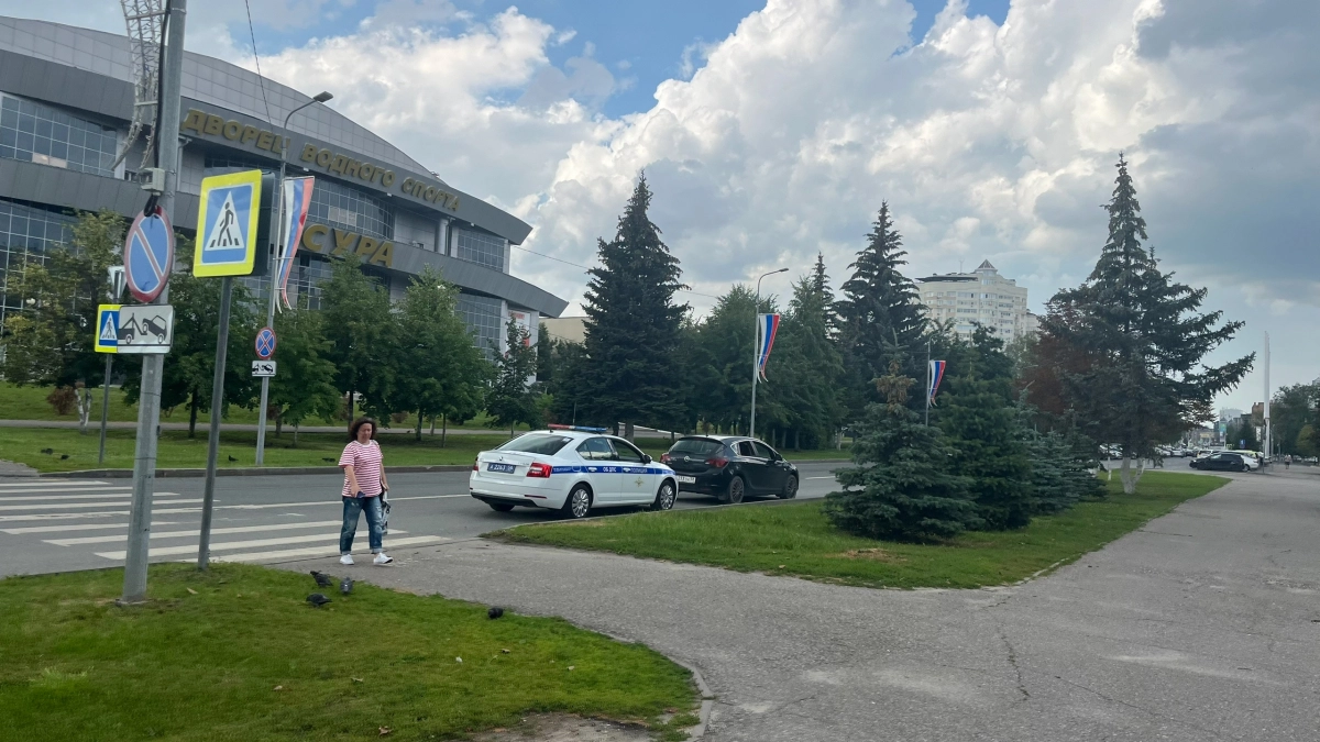 Водителям подробно разъяснили: почему важно знать Приказ №264 ГИБДД - пункты, которые спасут от штрафов