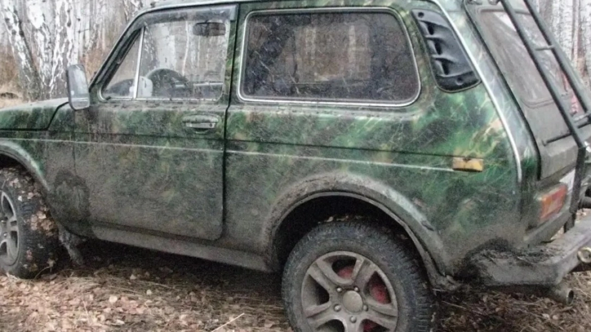 В Шадринском округе браконьер лишился оружия и автомобиля из-за незаконной охоты