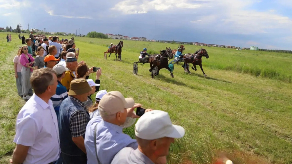 В Голышманово прошли конные соревнования 