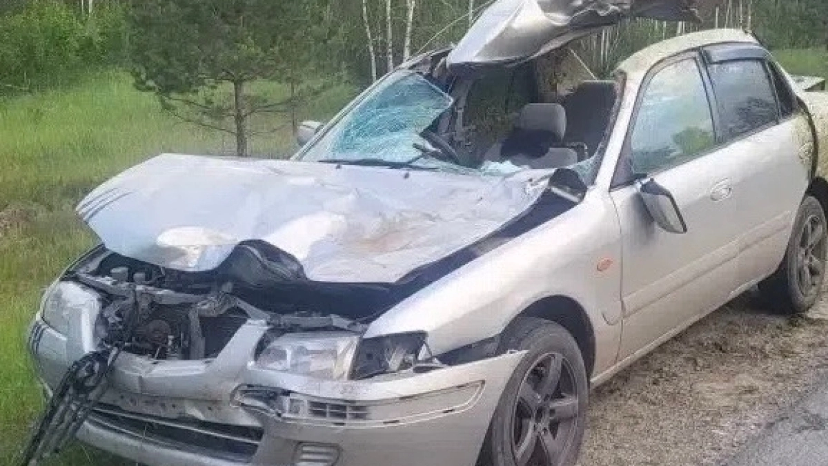 Две страшные аварии произошли ночью в Курганской области 