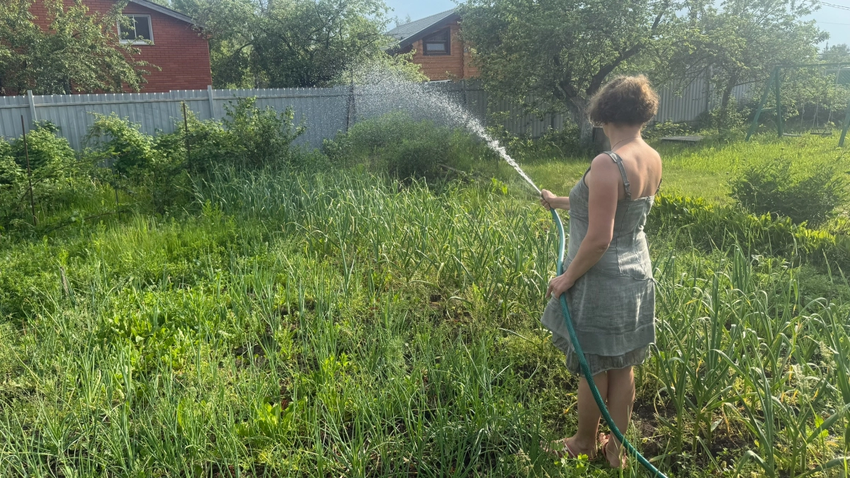 Какой водой нужно поливать огород: теплой или холодной - запомните раз и навсегда