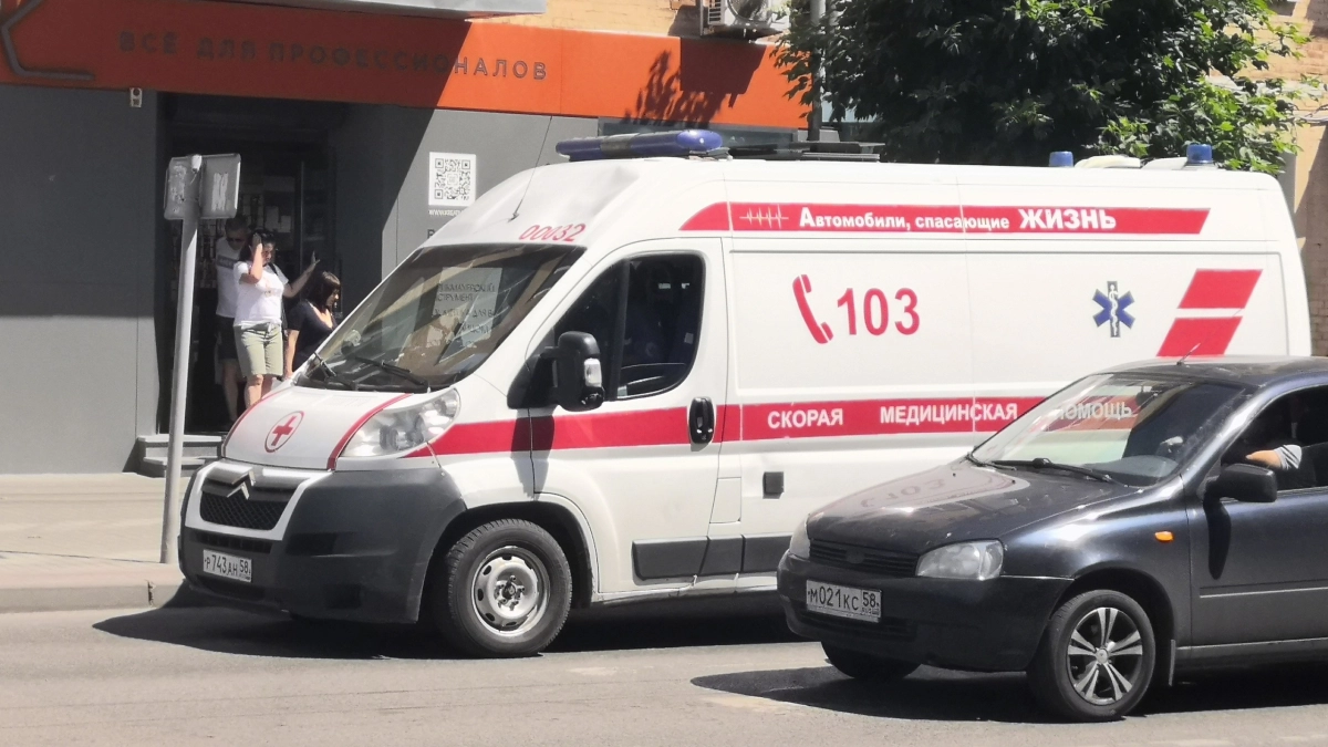 В Курганской области пенсионер погиб после наезда грузовика