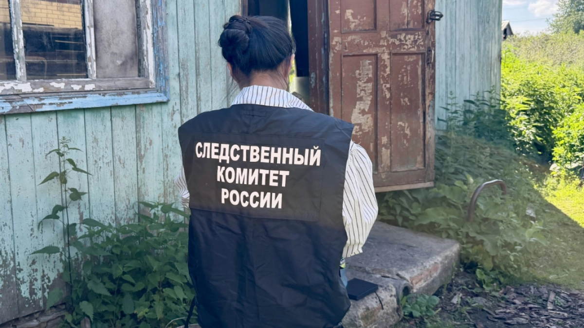 В г. Шумиха задержали местного жителя, убившего своего знакомого