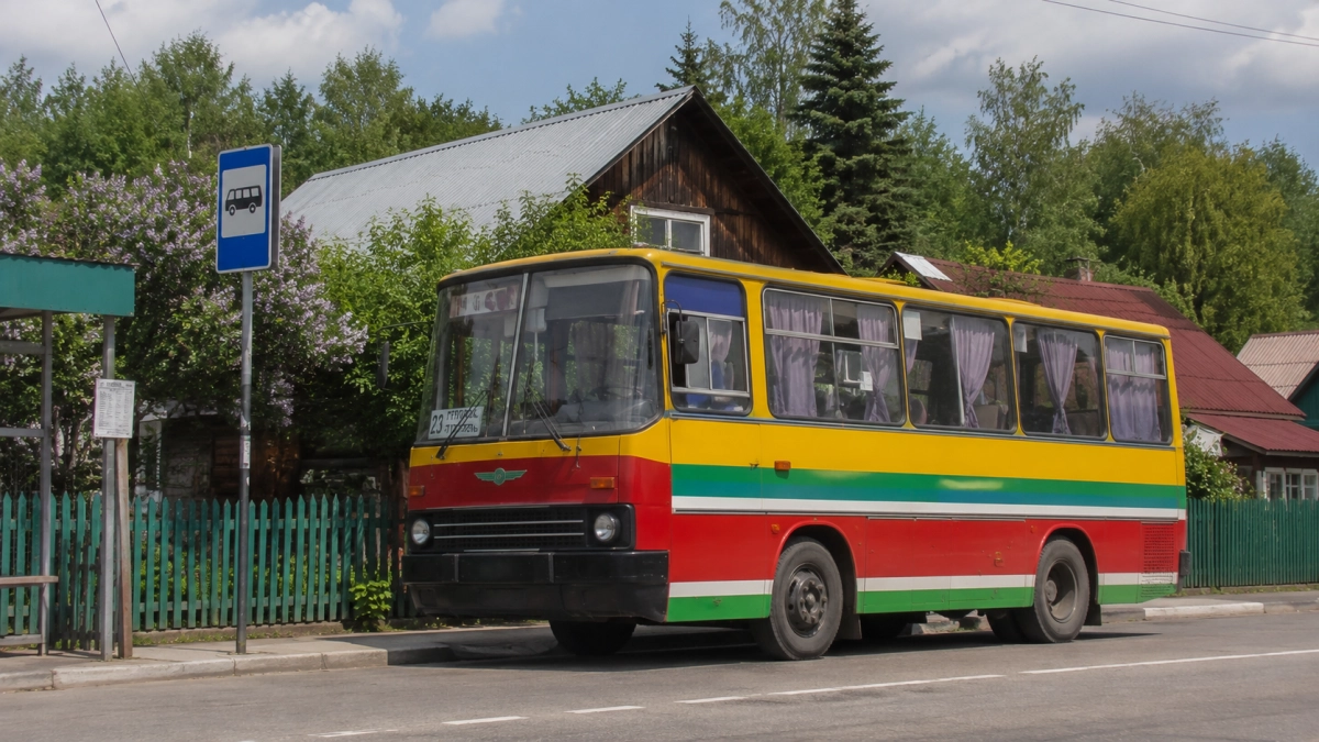 Зачем в СССР наши родители уезжали из деревни в город, а мы теперь ездим на дачи: почему нельзя было просто остаться в деревне