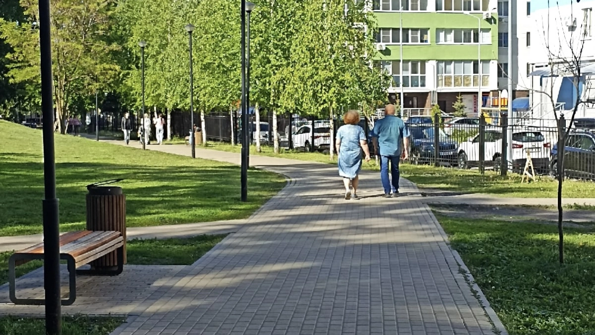 Сосны вместо бетона: в Кургане появятся два новых парка отдыха