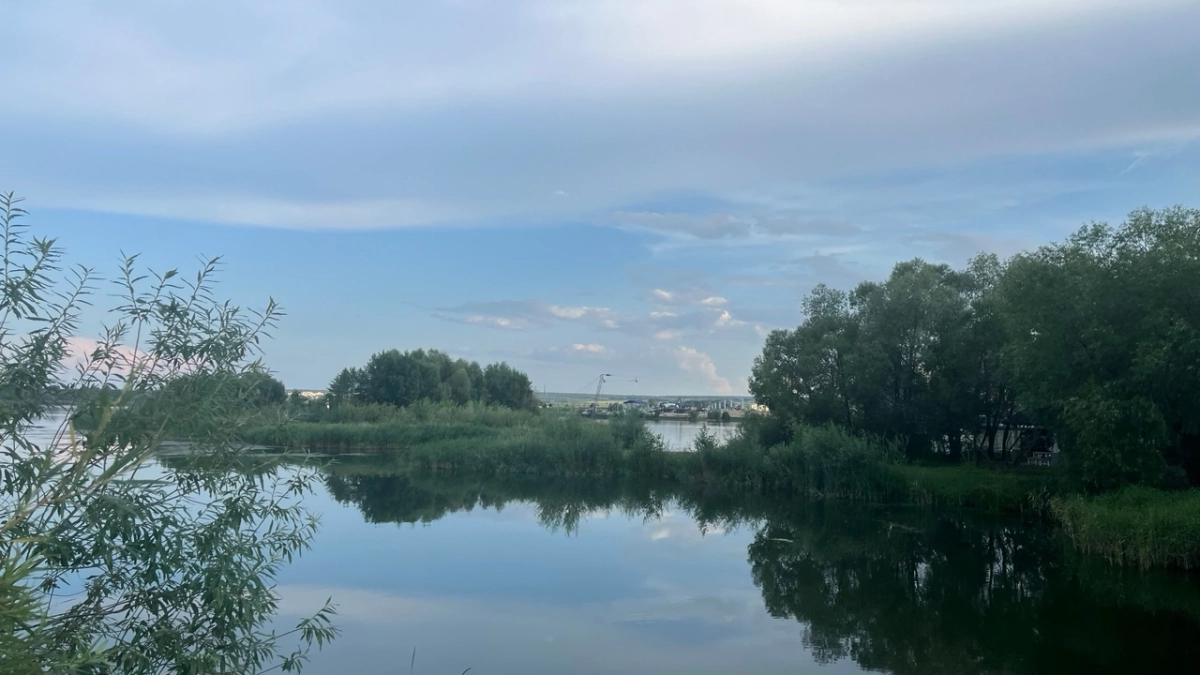 В курганские водоёмы выпустили более 90 млн мальков