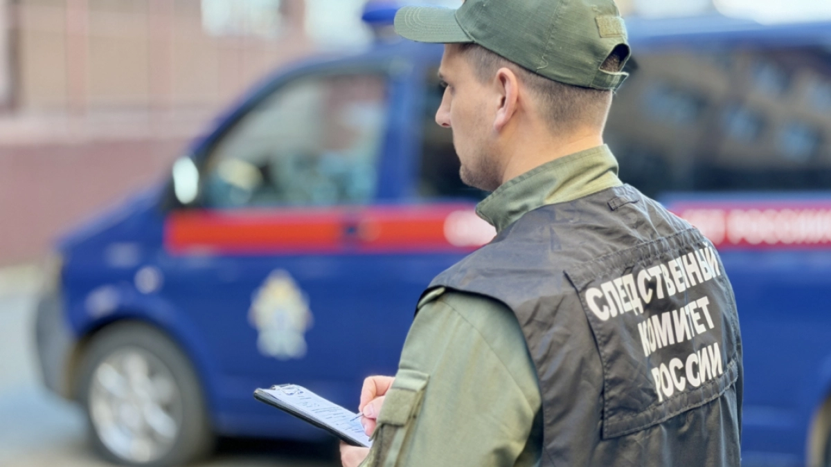 Жителя Куртамышского округа задержали за попытку убить собственную мать