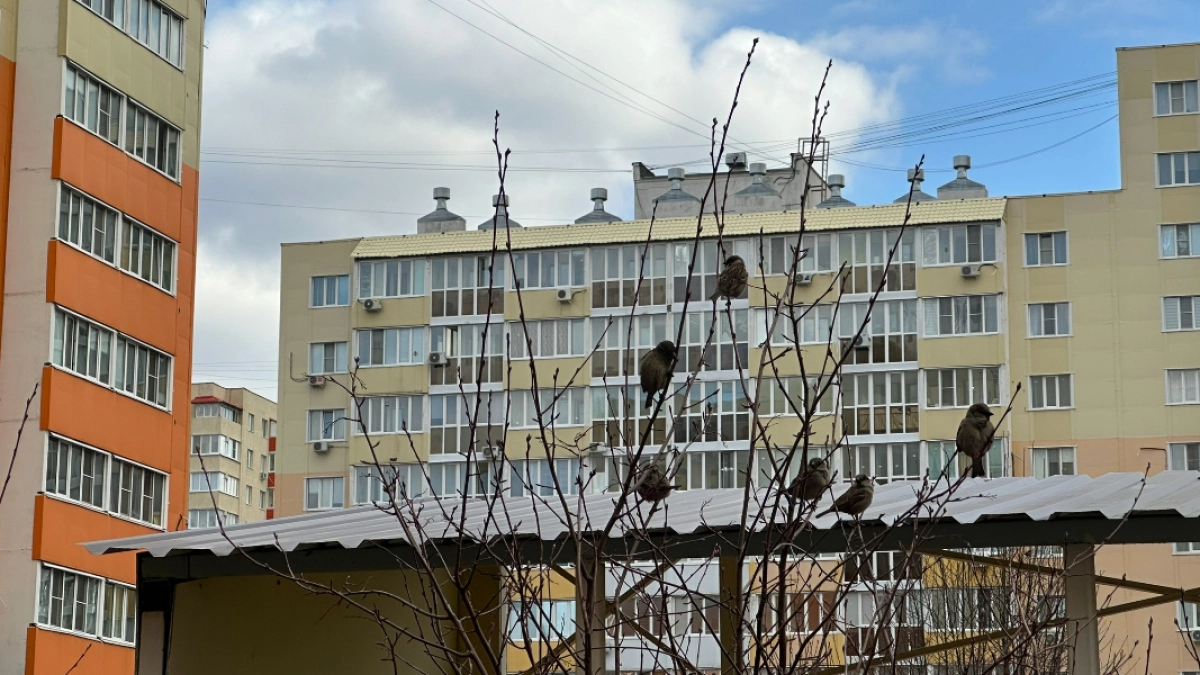 В Кургане проводят проверку по факту затопления придомовой территории на ул. Пушкина