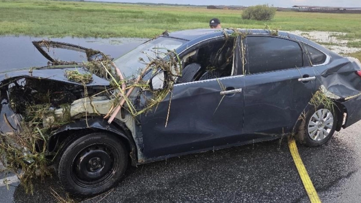 В Белозерском округе в результате падения автомобиля в водоем пострадала пенсионерка