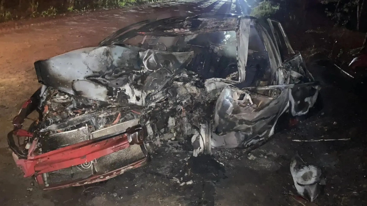 В Кетовском округе из-за наезда машины на дерево пострадали три человека