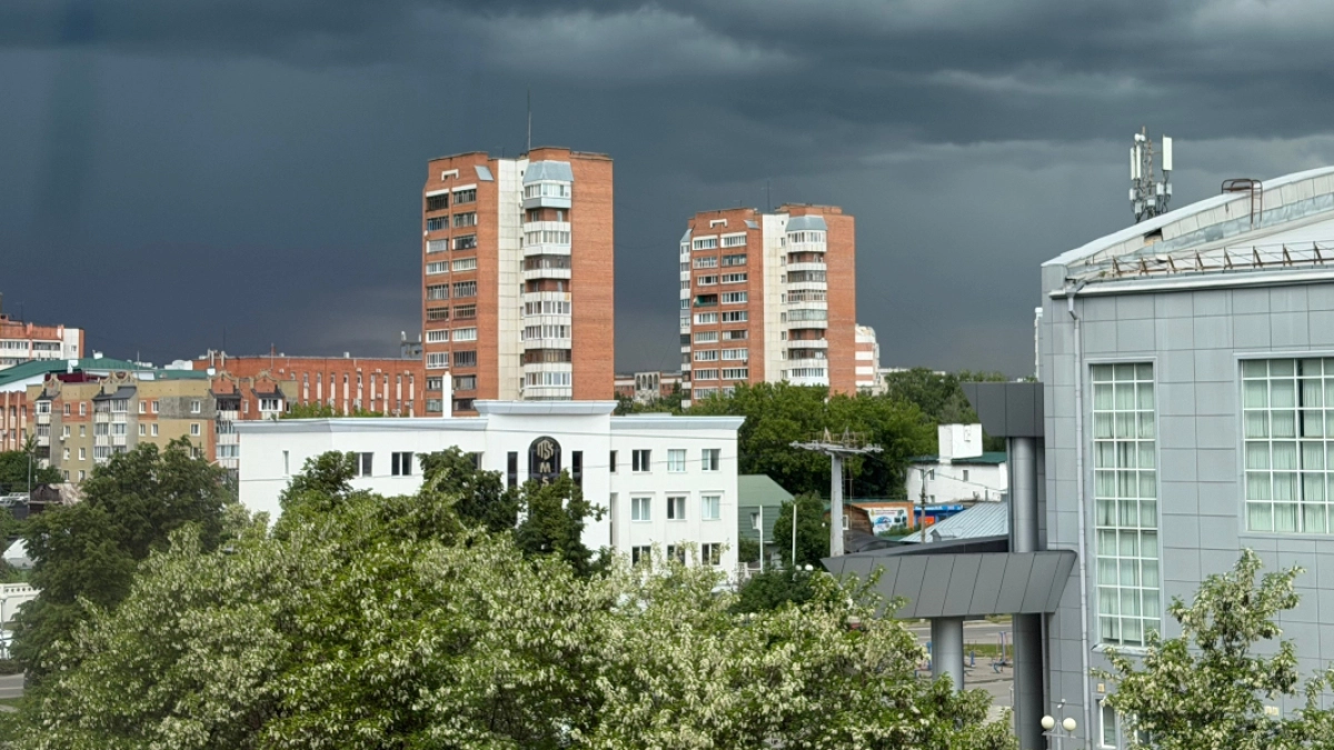 От курганцев на прошлой неделе поступило 245 обращений