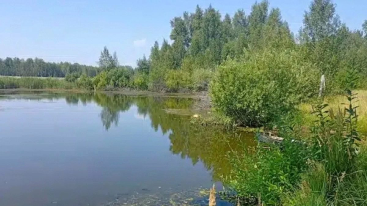 В котловане Частоозерского округа найдено тело 53-летнего мужчины