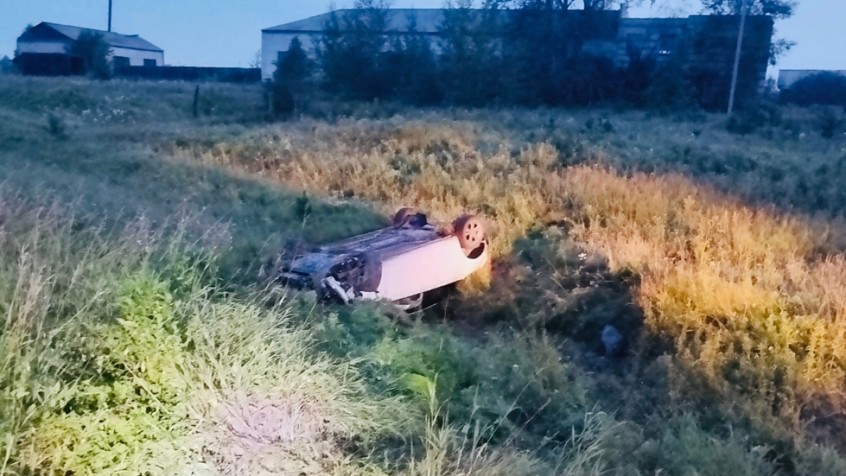 В Шатровском округе 27-летняя девушка оказалась в больнице после съезда с дороги
