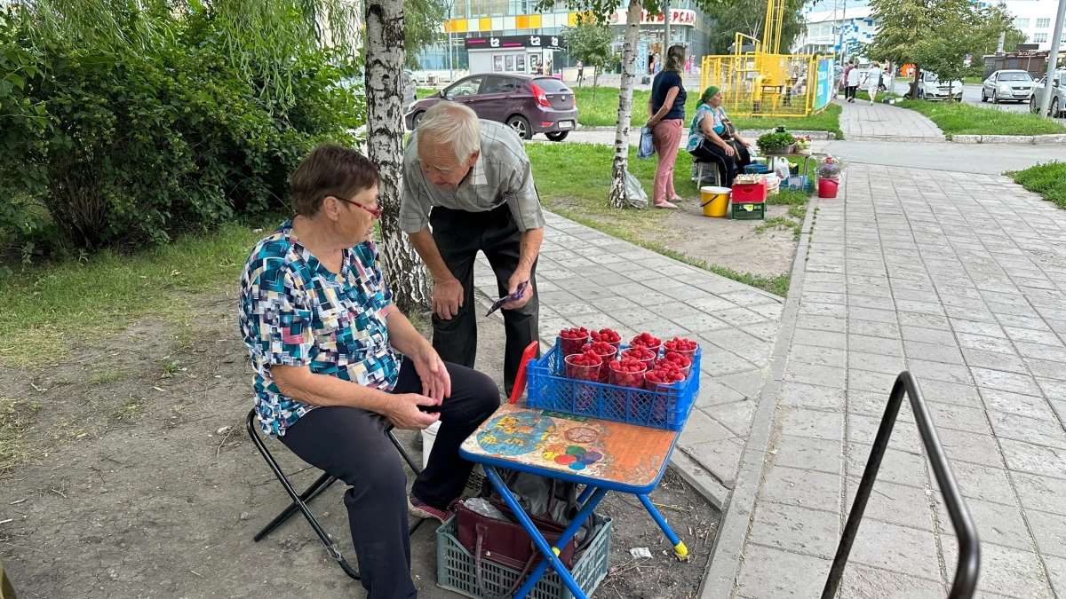 Как вернуть утерянные годы стажа и поднять пенсию: инструкция для курганцев