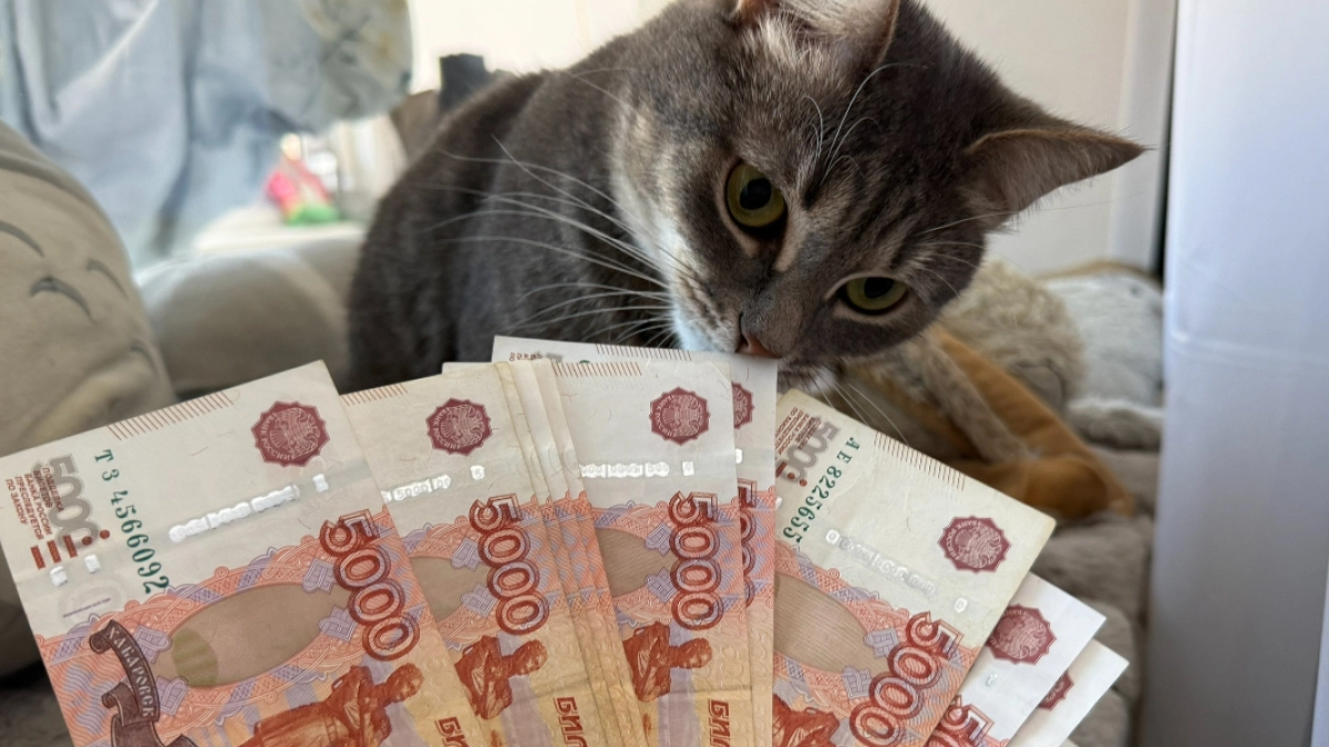 В Кургане женщину обязали выплатить долг по алиментам, который приблизился к миллиону рублей