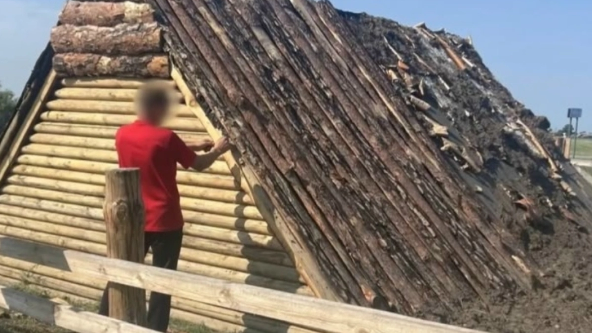 В Белозерском округе удалось отыскать поджигателя арт-объекта «Жилище бронзового века»
