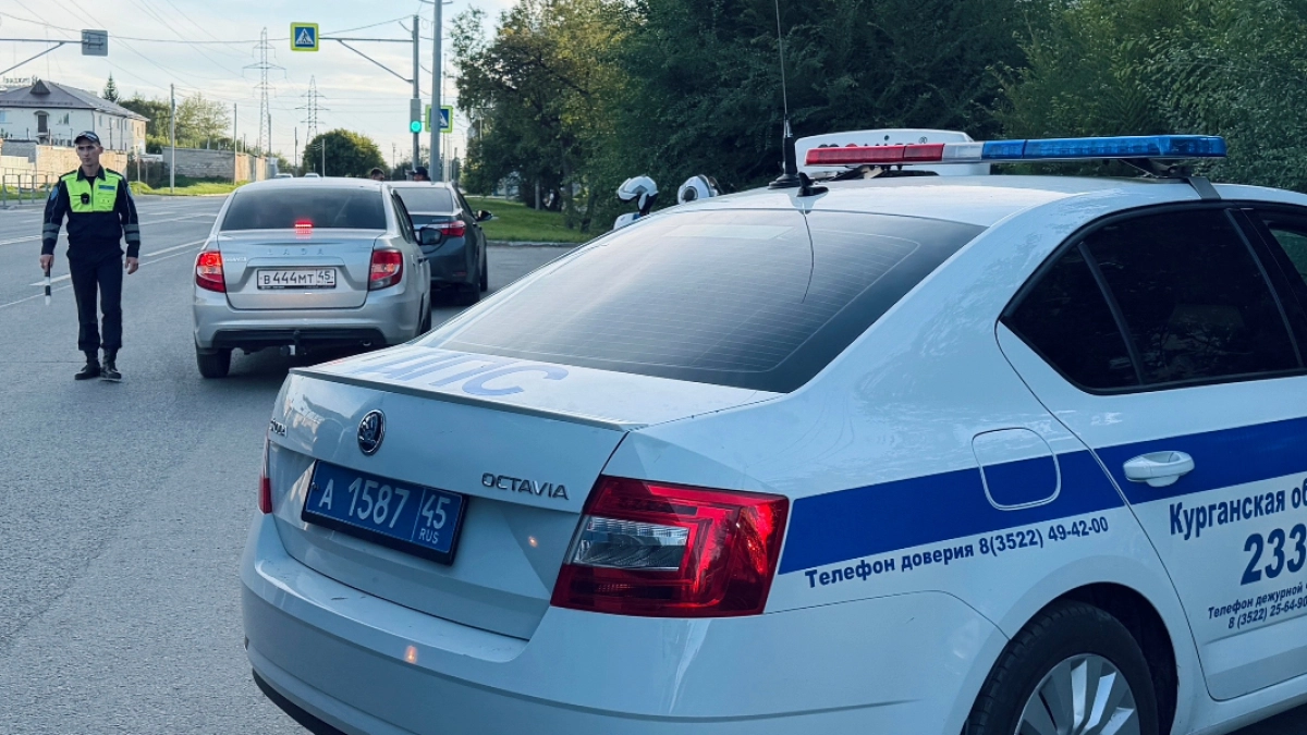 Курганские автоинспекторы за два дня задержали 17 пьяных водителей