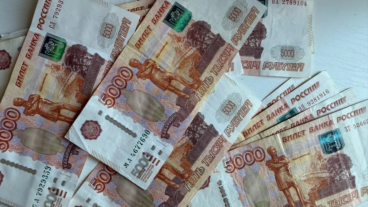 Кандидаты в Госдуму от Курганской области раскрыли доходы за 2025 год