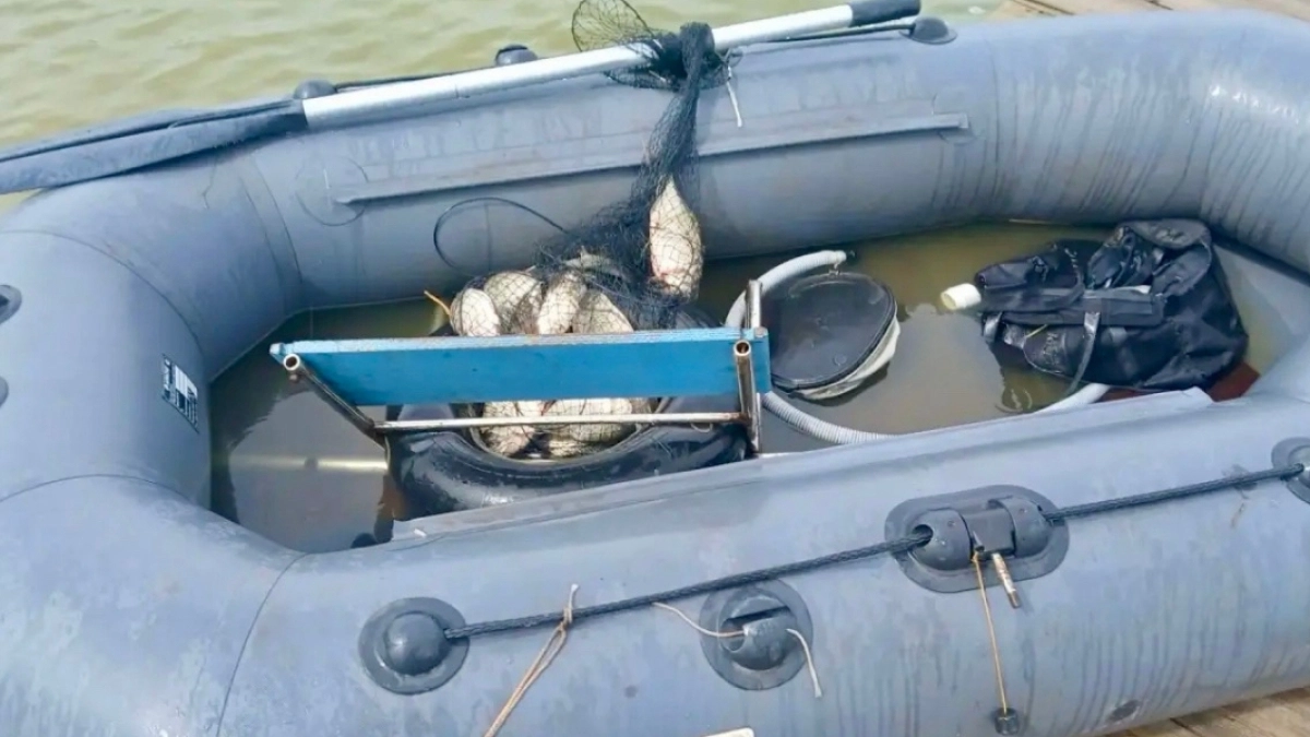 В Белозерском округе организована проверка по факту гибели рыбака на о. Большой Камаган