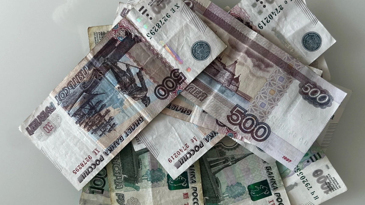 В Белозерском округе самозанятого привлекли к ответственности за попытку уйти от алиментов