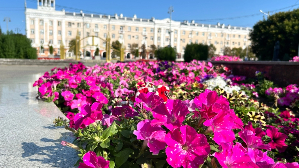 В администрацию г. Кургана на минувшей неделе поступило 251 обращение