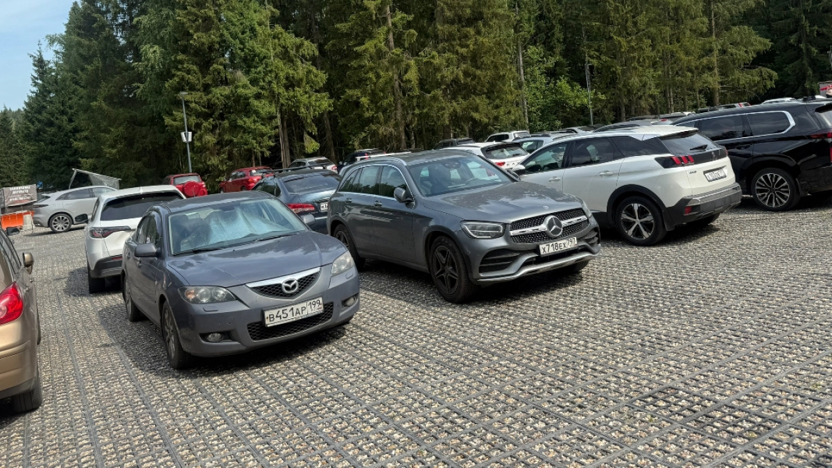 В Кургане 29 августа ограничат парковку транспорта перед центральным входом в ЦПКиО