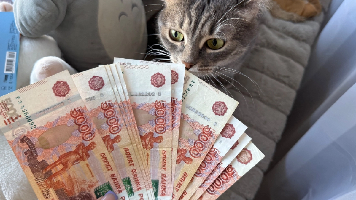 Около 100 курганских студенток получают пособие по беременности и родам в размере 90 тыс. рублей