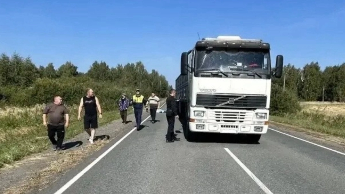 В Половинском округе погиб пьяный пешеход, бросавшийся под колеса автомобилей