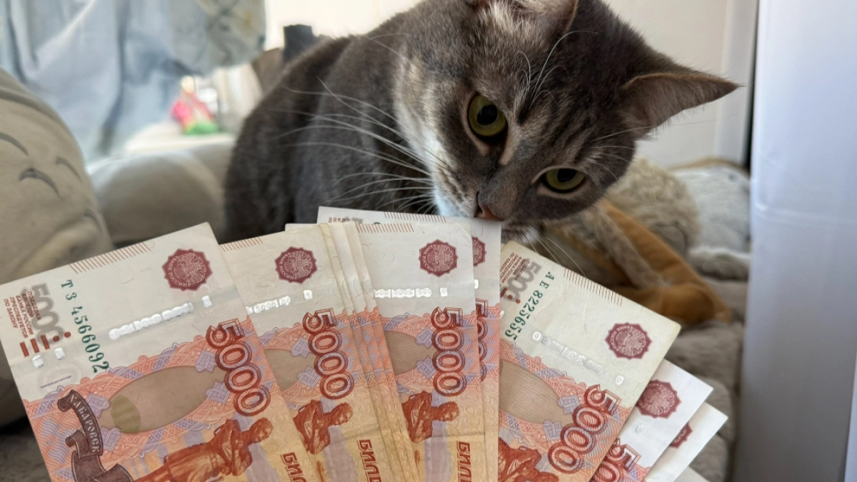 Жительнице Кургана удалось получил более 1 млн рублей за несуществующего ребенка