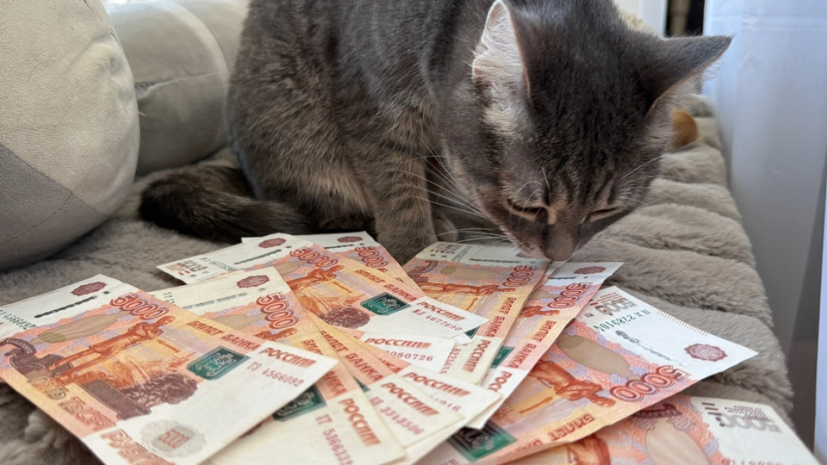 Более 6 млн рублей потеряли жители Курганской области по вине мошенников
