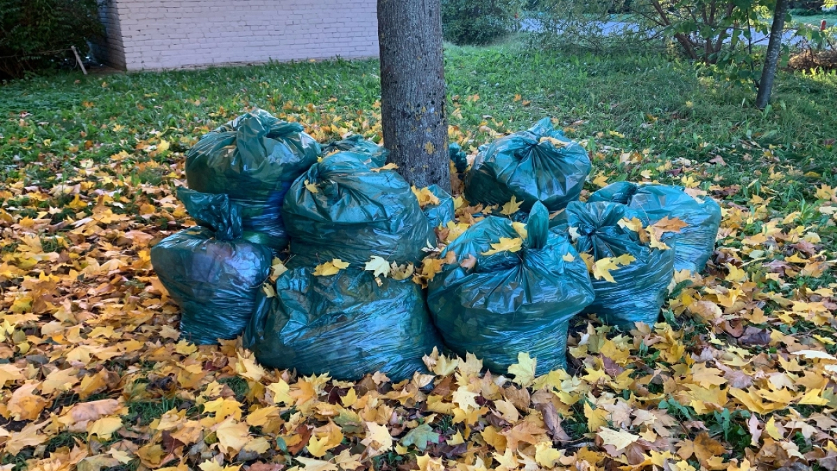 В Кургане с 25 сентября стартует месячник санитарной очистки города