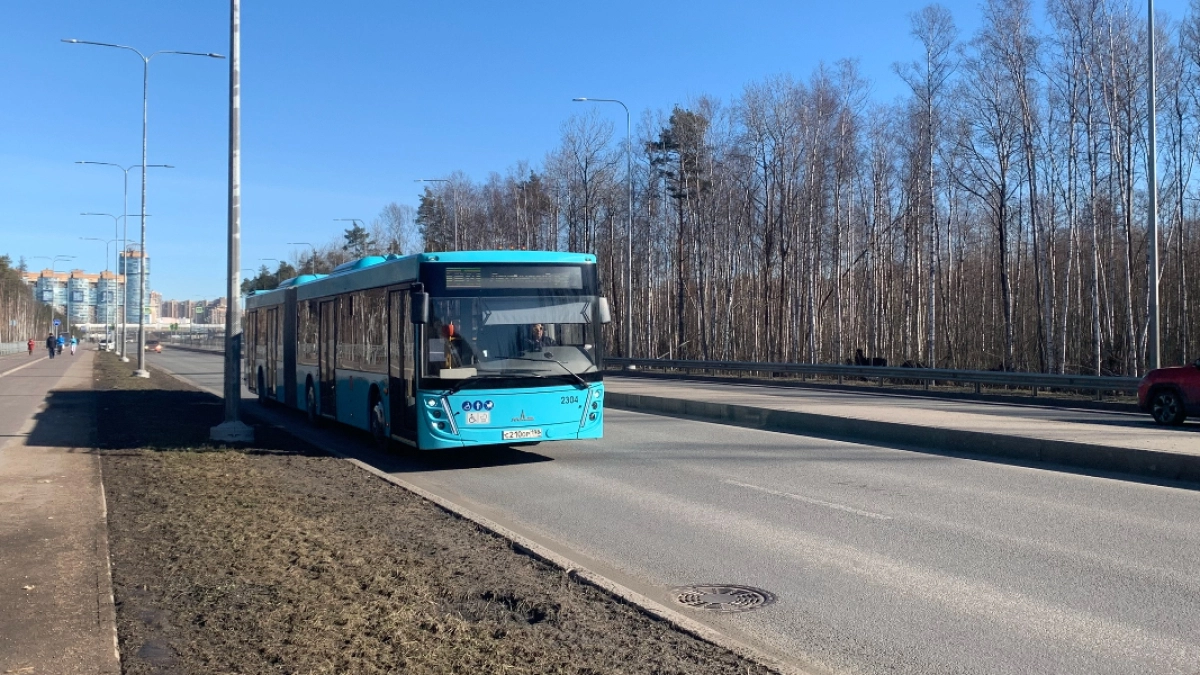 В Курганской области появился новый межмуниципальный маршрут