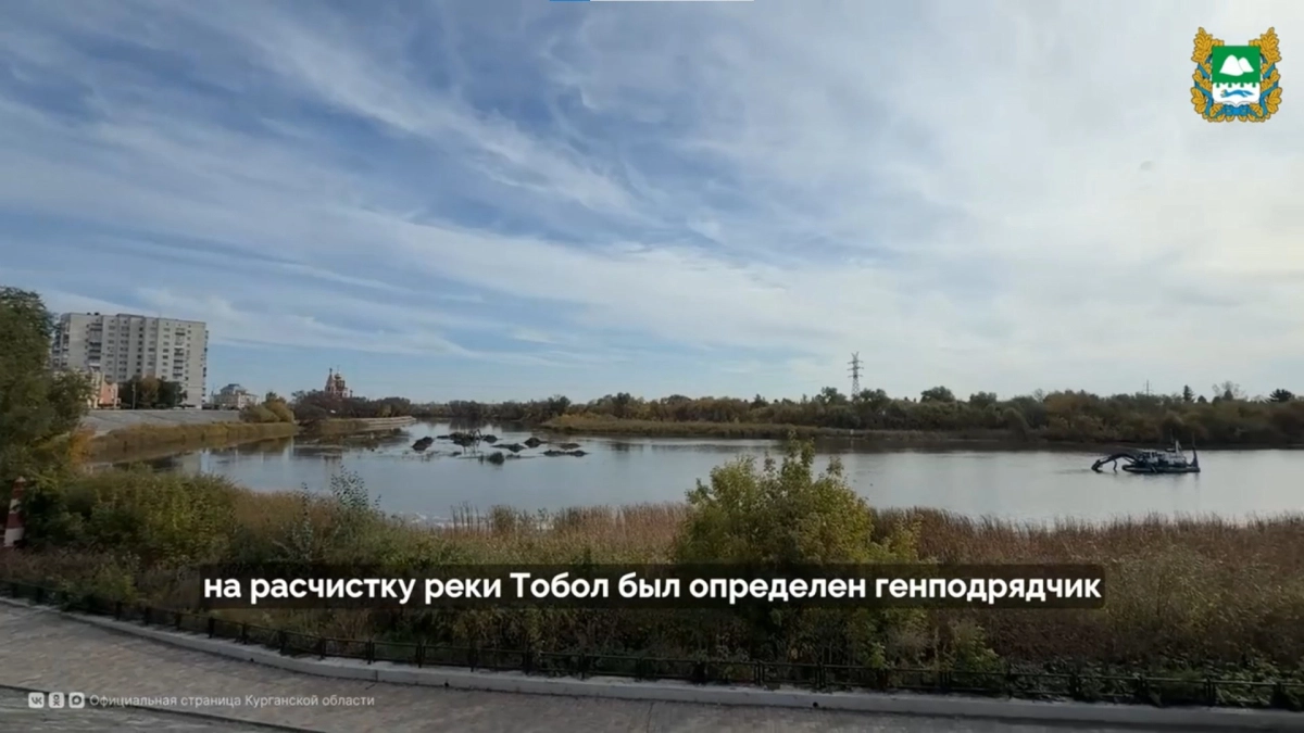 В Кургане начали расчистку русла Тобола у пляжа «Бабьи пески»