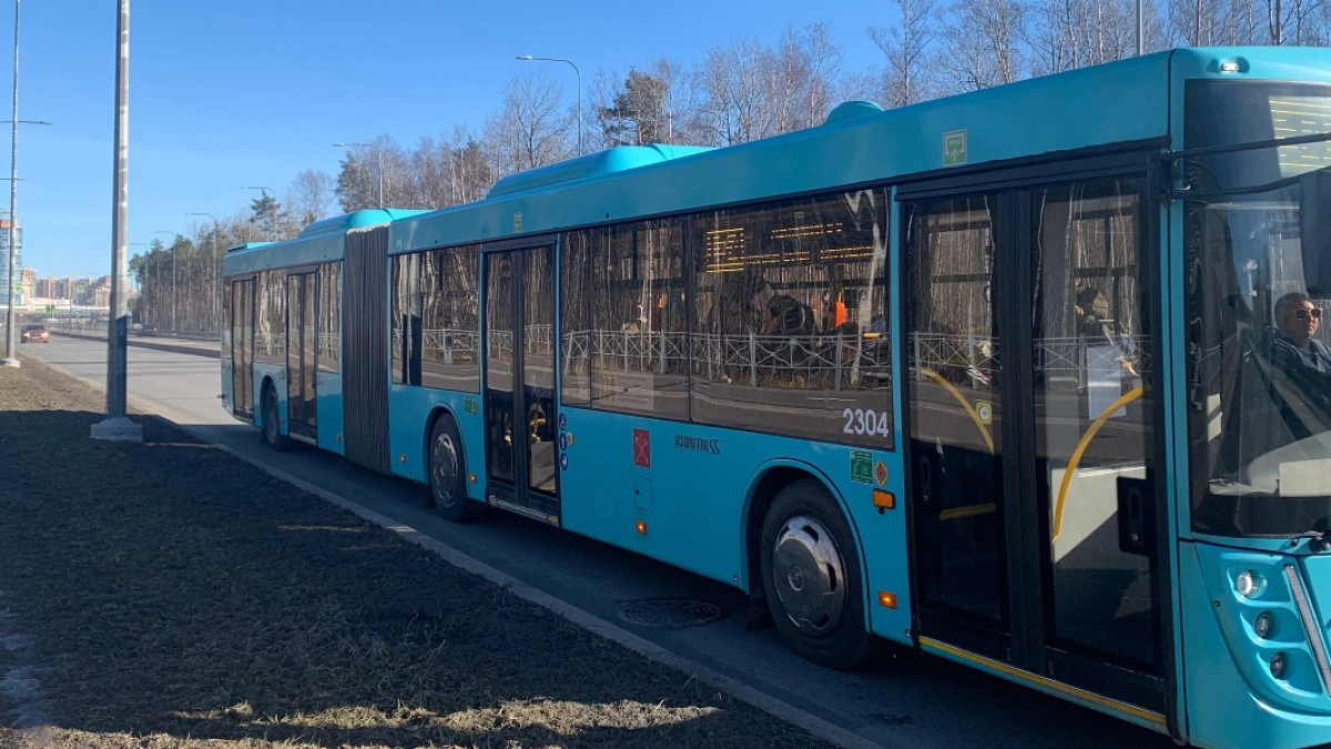 В Кургане проводится проверка по факту ДТП с участием пассажирского автобуса