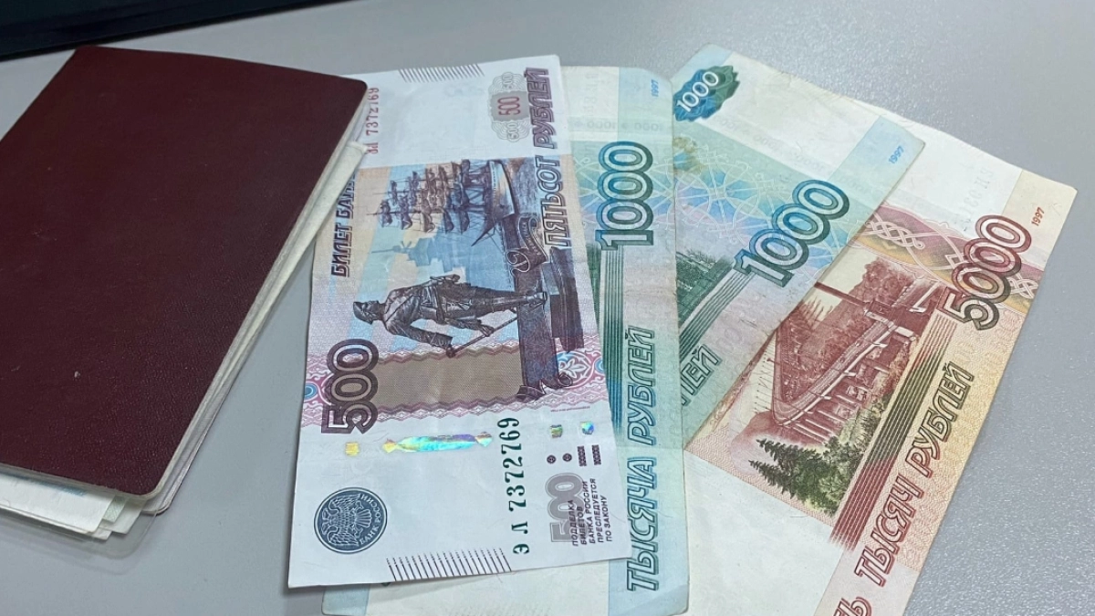 По вине жительницы Половинского округа, пытавшейся заработать на инвестициях, пострадали ее коллеги